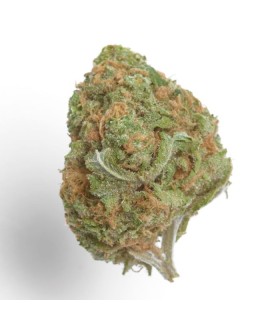 Banana Glue
