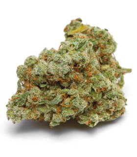 Banana Sherbet