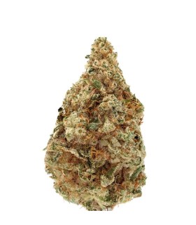 Charlotte Dream CBD