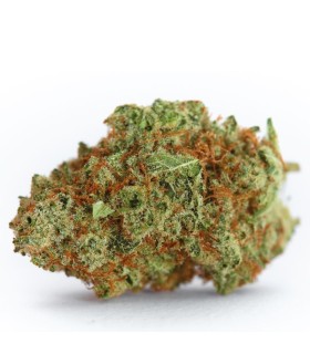 Monsterbud