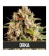 ORCA (Haze x White Widow)