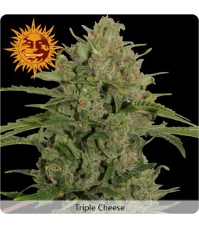 Triple Cheese