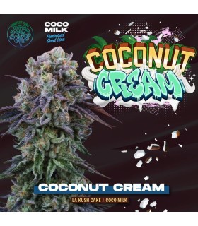 COCONUT CREAM (LA Kush Cake x Coco Milk)