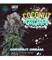 COCONUT CREAM (LA Kush Cake x Coco Milk)