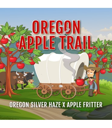 Oregon Apple Trail (Oregon Silver Haze x Apple Fritter)