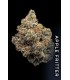 FROSTED FUJIS (Apple Fritter x Menthol)