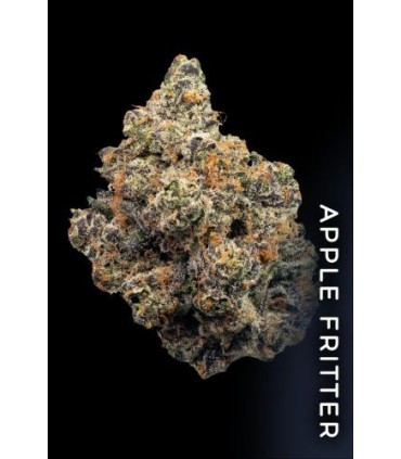 FROSTED FUJIS (Apple Fritter x Menthol)