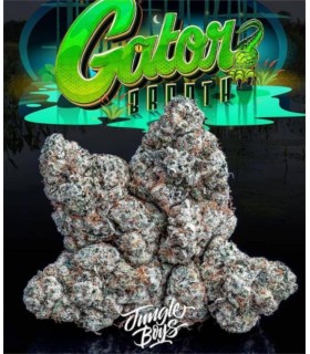 Gatorbreath x LA Kush Cake