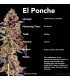 El Ponche (Purple Punch x La Bomba)