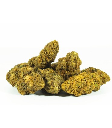 AMNESIA OG CBD