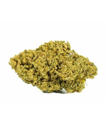 AMNESIA OG CBD
