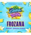 FROZANA (Frozini x Banana Punch)