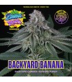 BACKYARD BANANA (Backyard Candies x Banana Punch)