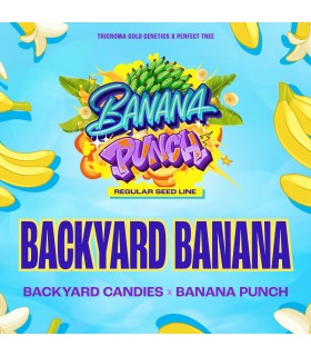 BACKYARD BANANA (Backyard Candies x Banana Punch)