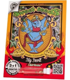 Big Devil F1 Fast Version