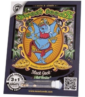 Black Jack F1 Fast Version