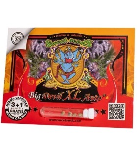 Big Devil XL Auto