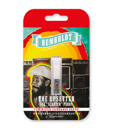 The Upsetter (Squirt x Tangie x Humboldt Dream)