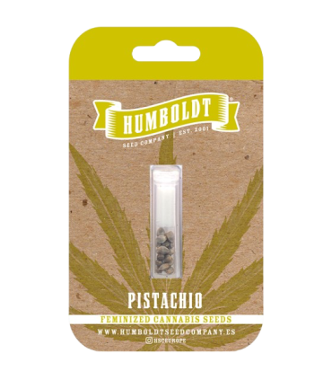 Pistachio (P-61 X Fortune Cookies)