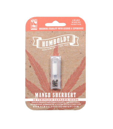Mango Sherbet (Mango Trees x Humboldt Sherbert)
