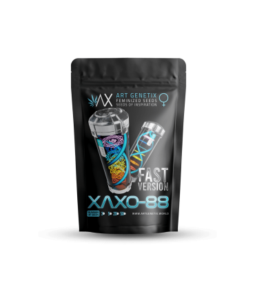 Xaxo-88 (Fast Flowering)