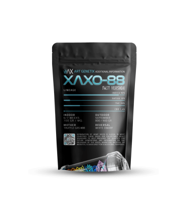 Xaxo-88 (Fast Flowering)