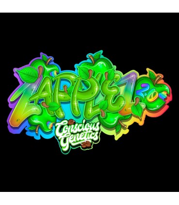 Zapplez 2.0 (Rainbow Beltz x Zapplez)