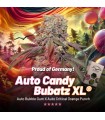 Candy Bubatz Auto XL (Auto Bubble Gum x Auto Critical Orange Punch)