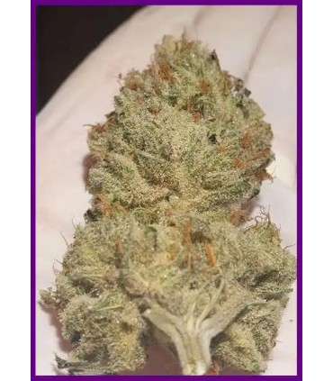 Juicy DropZ