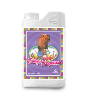 Tasty Terpenes (Nirvana)