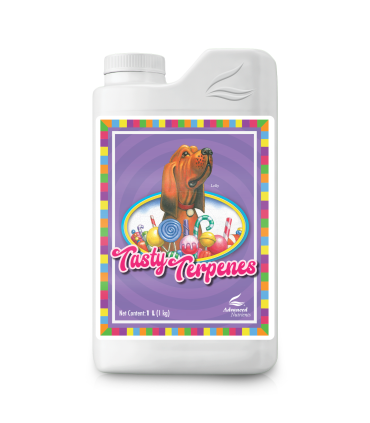 Tasty Terpenes