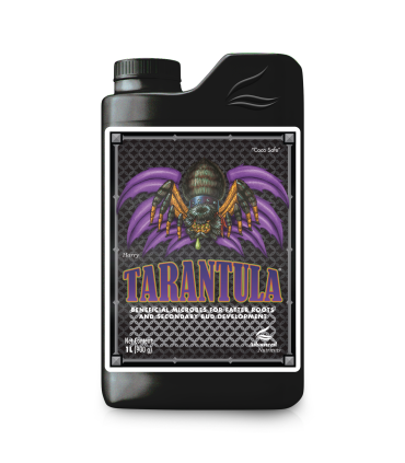 Tarantula