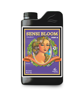 Sensi Bloom A (ph perfect) 3-0-0