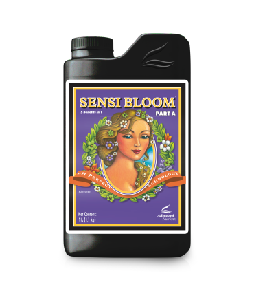 Sensi Bloom A (ph perfect) 3-0-0