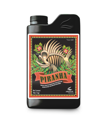 Piranha