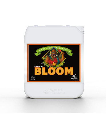 Bloom