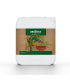 Iguana Juice Bloom