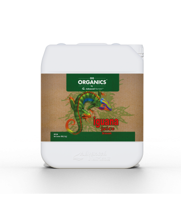Iguana Juice Bloom
