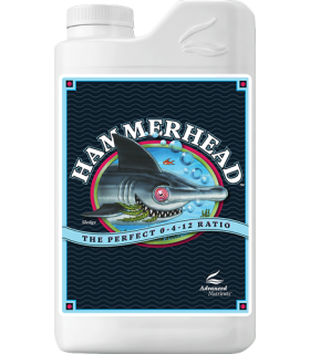 Hammerhead (PK 4/12)