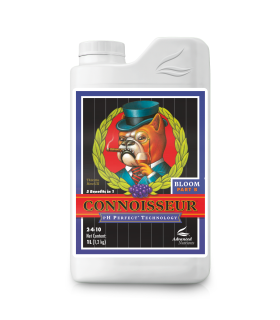 Connoisseur Bloom B (2-4-10) ph perfect