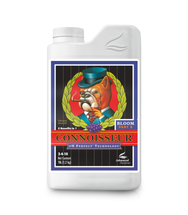 Connoisseur Bloom B (2-4-10) ph perfect