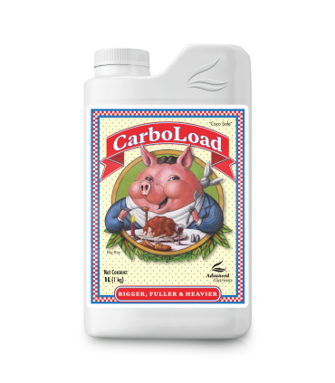 Carboload