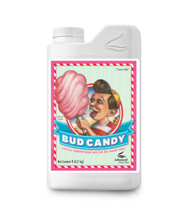 Bud Candy
