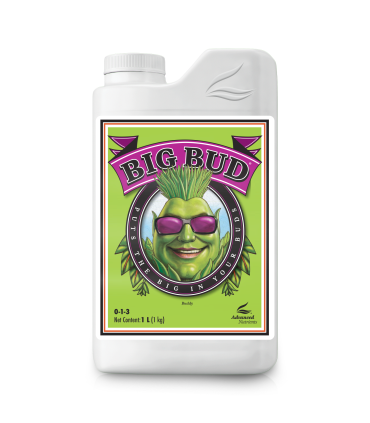 Big Bud