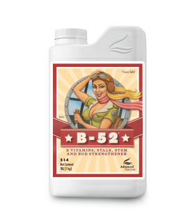 B-52 FERTILIZER BOOSTER