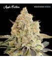 Apple Fritter (Sour Apple y Animal Cookies)