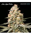 Auto Apple Fritter (Sour Apple x Animal Cookies)