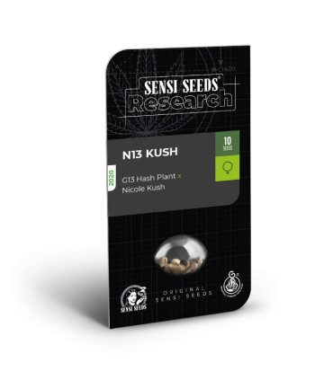 N13 Kush