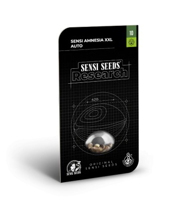 Auto Sensi Amnesia XXL