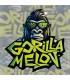 Gorilla Melon
